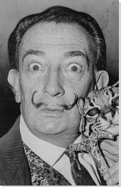 Image result for salvador dali