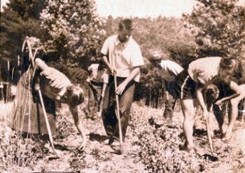 Students working on the school's farm