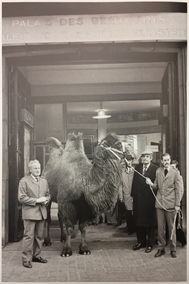 Marcel Broodthaers Photo Marcel Broodthaers Photo