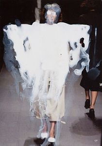Mary Schelpsi's <i>Beauty Interrupted</i> (2001)