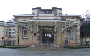 Brugmann University Hospital, Brussels (1906-23): former pavilion for children's surgery, now used for dental medicine