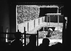 Carsten Holler and Rosemarie Trockel, <i>House for Pigs and People</i>, 1997, detail photo taken at Documenta 10