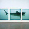 Hirst, Damien Famous Art