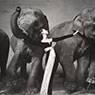 Dovima with Elephants, Evening Dress by Dior, Cirque d'Hiver, Paris (1955)