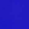 Blue Monochrome(1957)