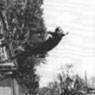 Le Saut dans le Vide (Leap into the Void) (1960)