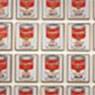 Campbell's Soup Cans(1962)