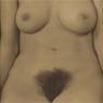 Georgia O'Keeffe - Torso(1918-19)