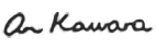 On Kawara Signature