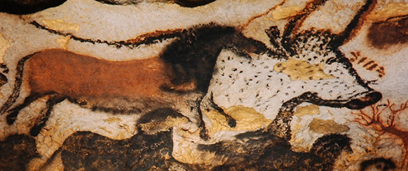 الثيران هي واحدة من العديد من أنواع الحيوانات التي تم تصويرها في كهف لاسكو في فرنسا.  يعود تاريخ الرسومات في Lascaux إلى 20000 عام.