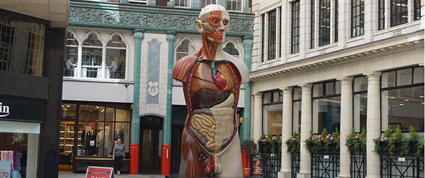 Damien Hirst Life and Legacy