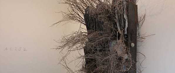 التفاصيل من <i> AEIOU </i> (2013)