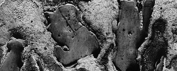 Detail of <i>Untitled</i> (1948)