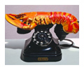 Lobster Phone