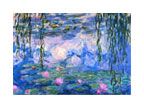 Claude Monet Artwork