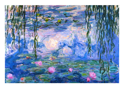 Water Lilies