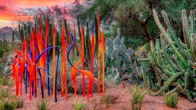 In 2022, Chihuly installed a series of works at the Desert Botanical Garden in Arizona.