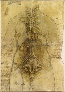 Da Vinci's notebooks reveal that he engaged in in-deptha deep study of anatomy, sketching countless images of both the internal and external working of the human body.