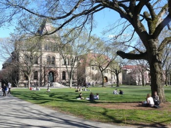 Fusco undertook her undergraduate studies at Brown University, where she flourished in the critical environment of the new Semiotics program, and where she was inspired to social and political action by her peers.