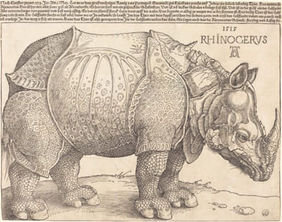 Albrecht Dürer's <i>The Rhinoceros</i> (1515)