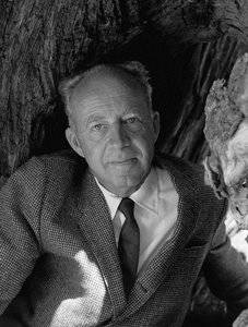 Imogen Cunningham's <i>Willard Van Dyke</i> (1963) shows Van Dyke at the time he was known as a filmmaker, while evoking his earlier involvement in Group f/64 by framing him against a weathered tree.