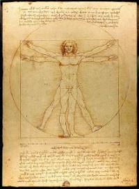 كان <i> رجل فيتروفيان </ i> (1490) ليوناردو مؤثرًا على نطاق واسع بين الفنانين في عصره ، بما في ذلك رافائيل والمهندس المعماري برامانتي ، بالإضافة إلى فنانين لاحقًا مثل ألبريشت دورر وويليام بليك.