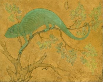 <i>A Chameleon</i> (1612) by Utad Mansur, one of the Indian artworks from the Royal Library at Windsor Castle which inspired Hodgkin when he was a pupil at Eton.