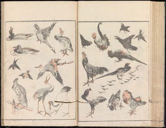 Two pages from Katsushika Hokusai's <i>Denshin Kaisu: Hokusai Manga</i> (<i>Transmitting the Spirit and Revealing the Form of Things: Random Drawings of Hokusai</i>), (1814) depict his sketches of various birds.