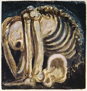 William Blake, <i>Skeleton of Urizen - A Small Book of Designs, object 13</i> (1794). Blake's art was engaged the idea of “the body of God [and] human existence itself”.