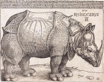 Albrecht Dürer's woodcut <i>The Rhinoceros</i> (1515) became the iconic image of a rhinoceros for the next four centuries, influencing countless artists, including Salvador Dalí. T.H. Clarke, the art historian, recorded “probably no animal picture has exerted such a profound influence on the arts.”