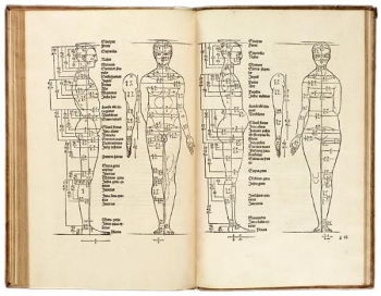 Two pages from Albrecht Dürer's <i>Four Books of Human Proportion</i> (1532) show his scientific study that was based upon his belief that, “If you wish to make a beautiful human figure, it is necessary that you probe the nature and proportions of many people.”