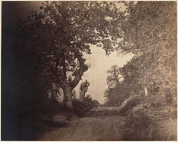 غوستاف لو جراي ، غابة فونتينبلو ، 1856. صورة لو غراي تحمل تشابهًا مذهلاً مع <i> حافة غابة فونتينبلو: غروب الشمس </ i> لروسو ، المرسومة في 1848-49