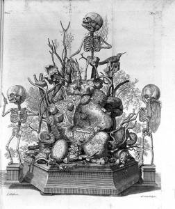 Ruysch taught her father Frederik to draw and paint, allowing him to illustrate the objects from his cabinet of curiosities, including the bizarre dioramas which he created.