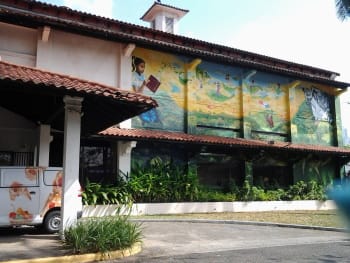 Early in her artistic career, Sherald curated exhibitions at the Museo de Arte Contemporaneo in Panama City.