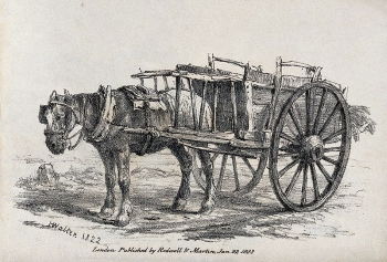 A lithograph of a bridled and blinkered carthorse from 1822, The Ancients member Henry Walter