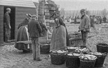 Image from a vintage postcard of a fish catch being sorted on the beach around 1906 at St. Ives, Cornwall, England.