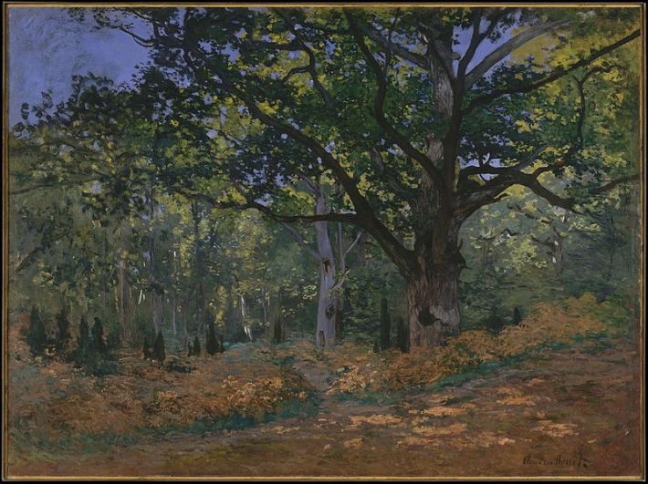 Monet's <i>The Bodmer Oak, Fountainebleau Forest</i> (1865)