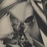 Alvin Langdon Coburn: Vortograph (1916-17)