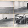 Seedbed (1972)