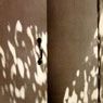 Hazel Larsen Archer: Quiet House Doors (Gelatin silver print)