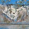 Shoalhaven River (1995)