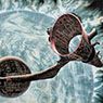 The Loves of Shepherds (After Doublestar by Tony Roberts) (2000)