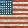 Jasper Johns: Flag (1954-55)
