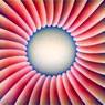 Judy Chicago: Through the Flower (1973)