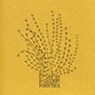 Mary Ellen Solt: Forsythia (1966)