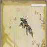 Untitled (Oriental Painting of Bird with Cherry Blossoms) (1964)