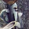 Max Ernst: Chinese Nightingale (1920)