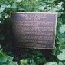 Rice/Tree/Burial with Time Capsule (1968)