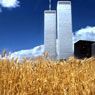 Wheatfield - A Confrontation (1982)