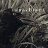 Birds (2001)